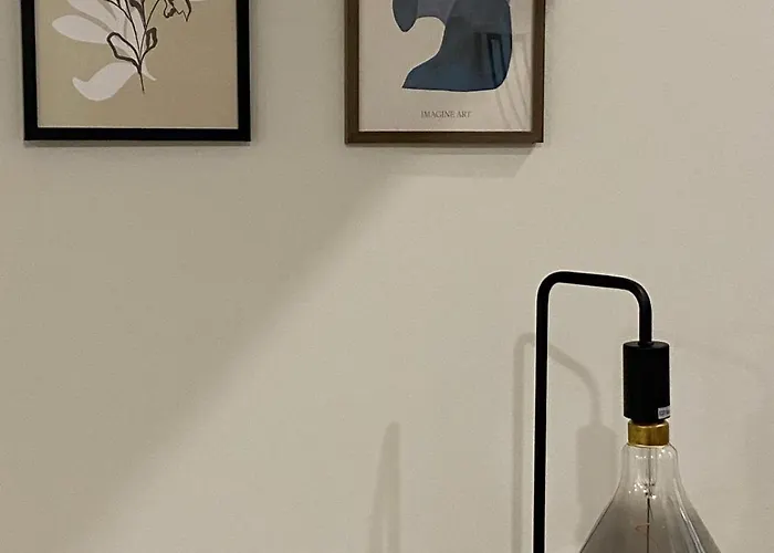 Daisy Street 2 * 布拉加